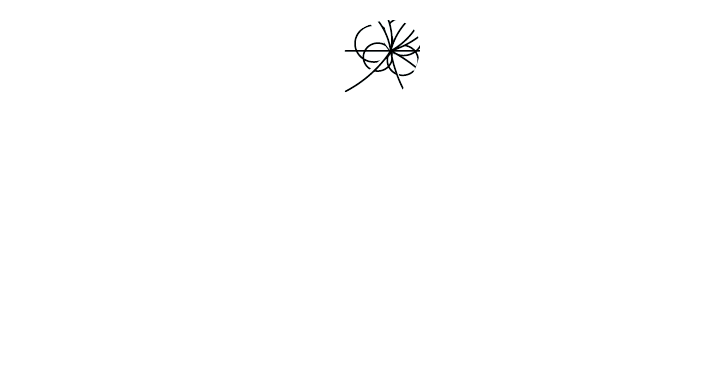 iccub logo invertit